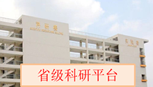 九球体育超级联赛图片