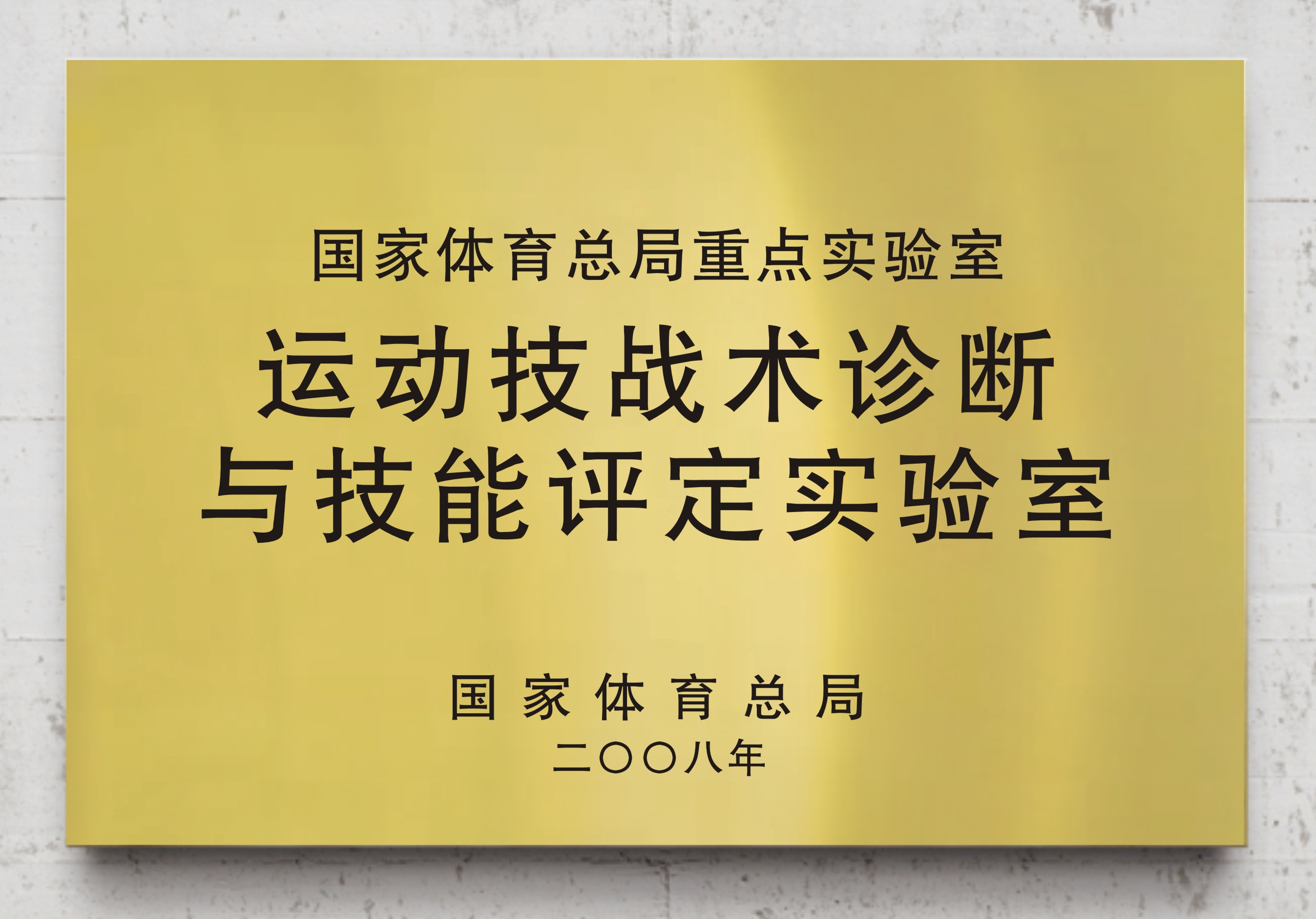 运动技战术诊断与技能评定体育报告厅