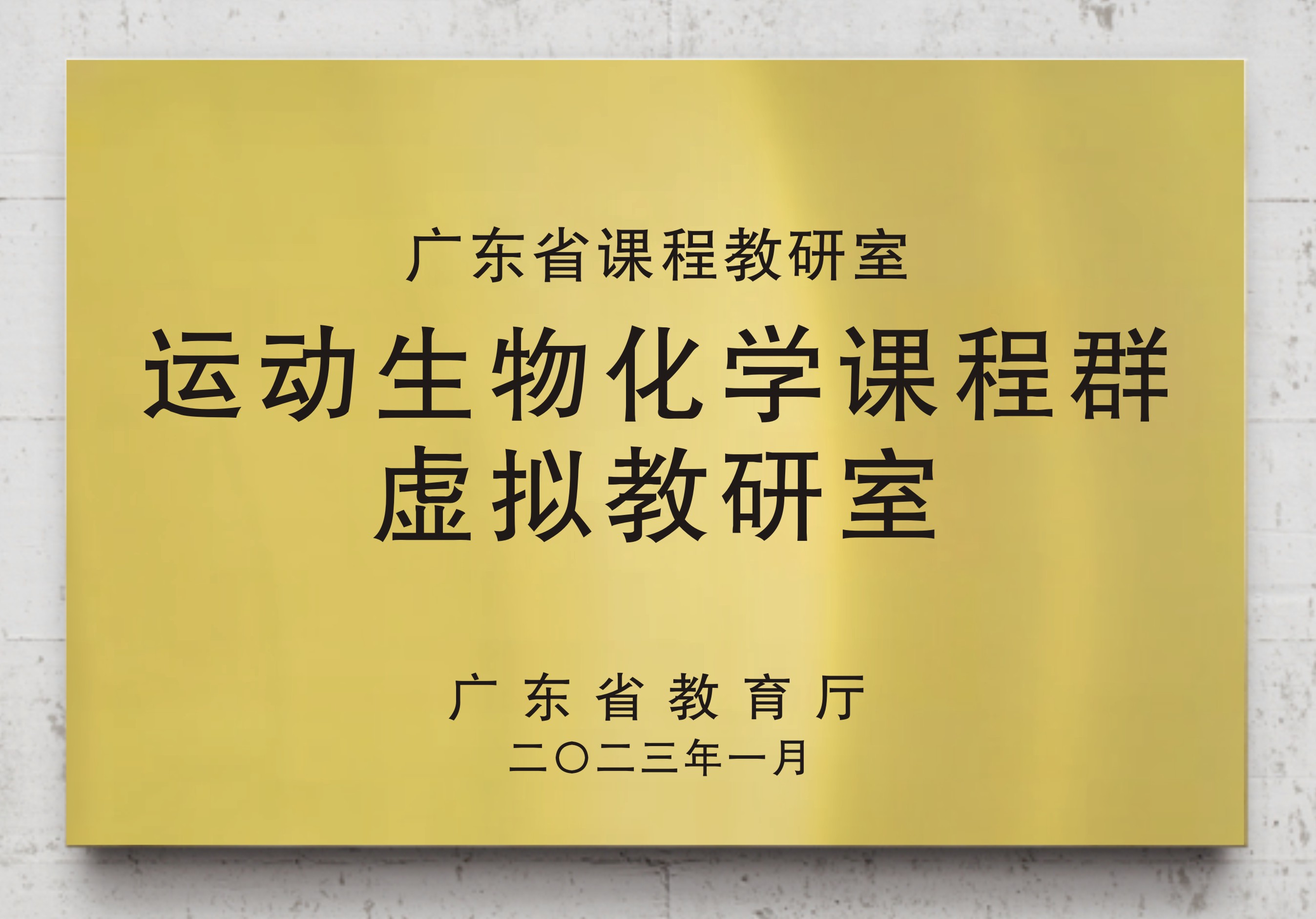 运动生物化学训练营群虚拟教研室