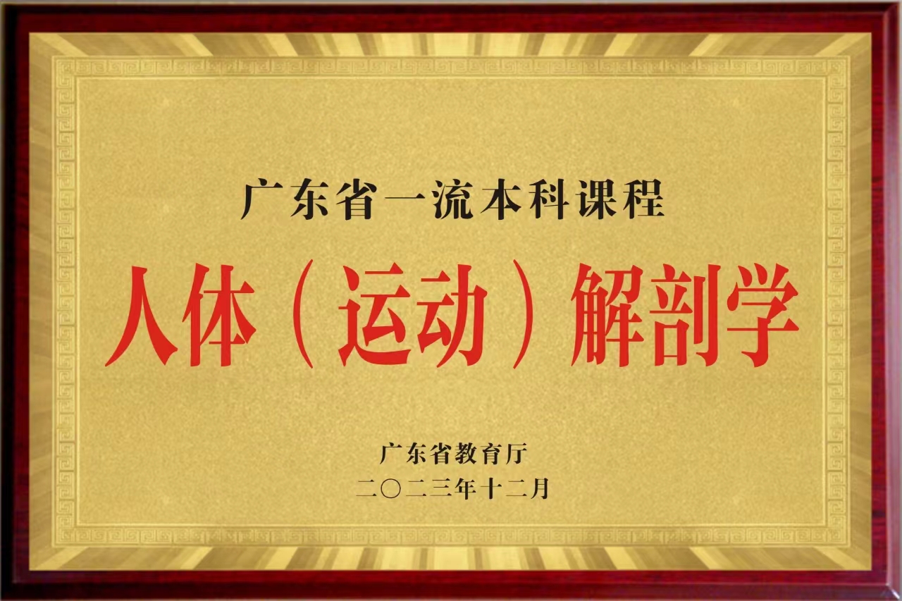 人体（运动）解剖学